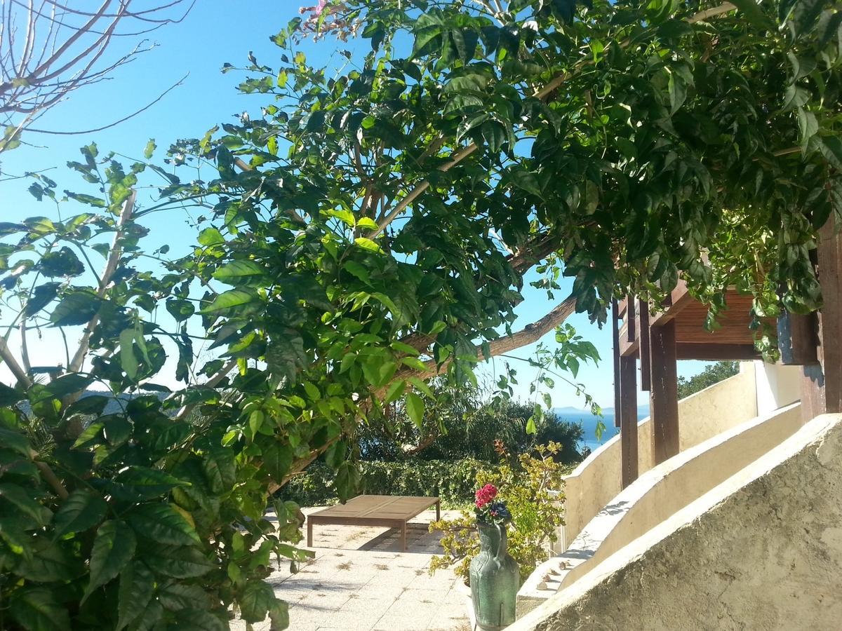 La Coccinelle Aparthotel Île du Levant Exterior foto